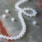 12 Pack: Preciosa Glass Crystal Bicone Beads, 6mm by Bead Landing™